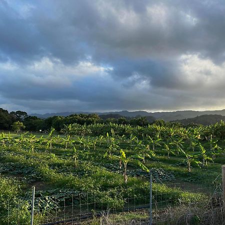 Maleka Farm: Tent Glamping North Shore Oahu Laie Dış mekan fotoğraf